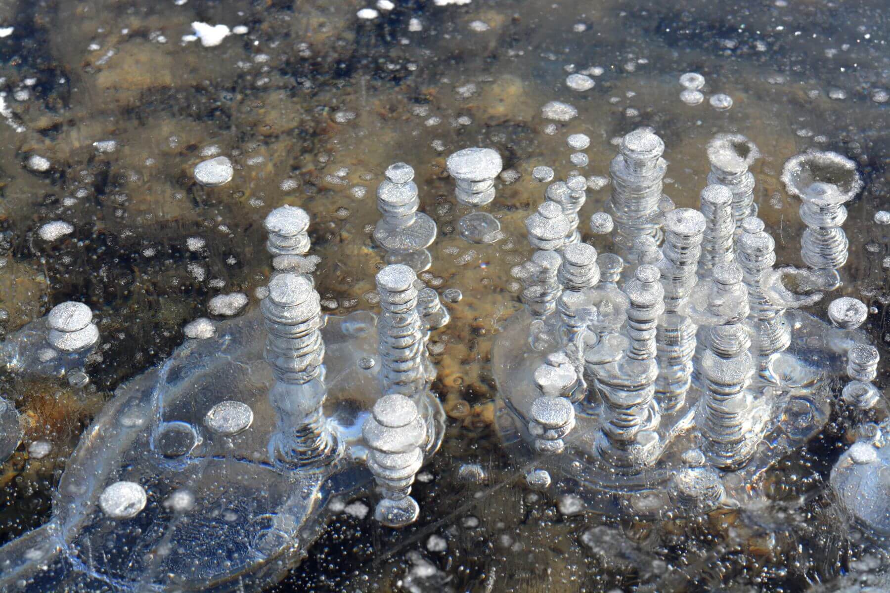 Gefroren auf dem Weg nach oben - Methangasblasen im Eis